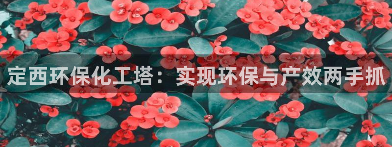 亿万先生合并网址是什么：定西环保化工塔：实现环保与产效两手抓