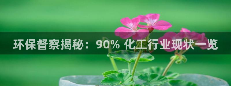 亿万先生用什么客户端：环保督察揭秘：90% 化工行业现状一览