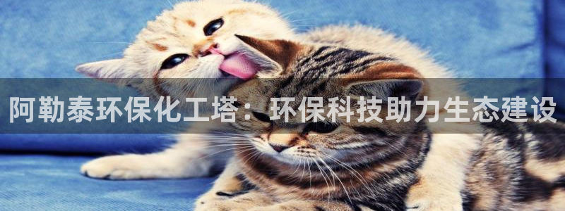 亿万钱包app下载