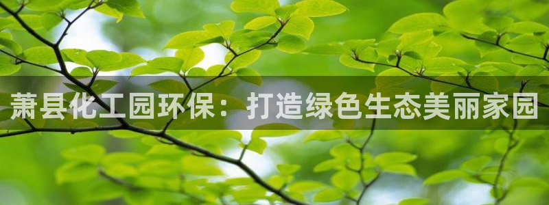 亿万网络科技有限公司：萧县化工园环保：打造绿色生态美丽家园