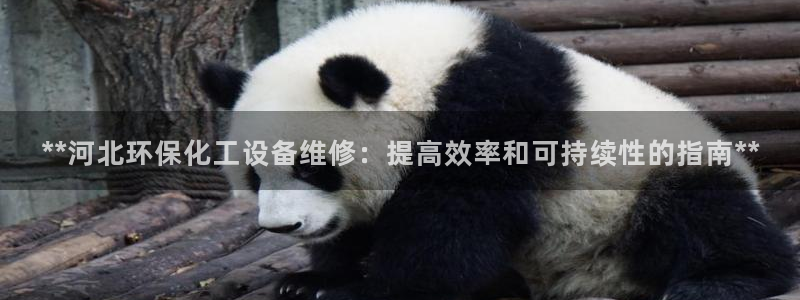 亿万先生手机网：**河北环保化工设备维修：提高效率和可持续性的指南**