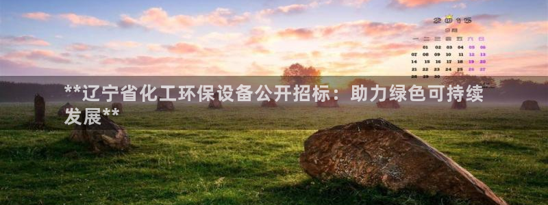 mr07亿万先生：**辽宁省化工环保设备公开招标：助力绿色可持续
发展**