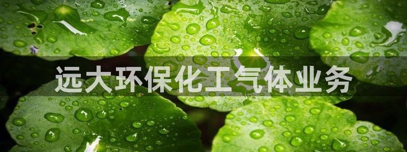 亿万先生网红：远大环保化工气体业务