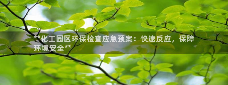 亿万先生mr008：**化工园区环保检查应急预案：快速反应，保障
环境安全**