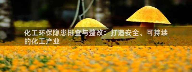 mr8001亿万先生：化工环保隐患排查与整改：打造安全、可持续
的化工产业