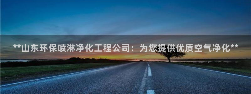 亿万解析：**山东环保喷淋净化工程公司：为您提供优质空气净化**