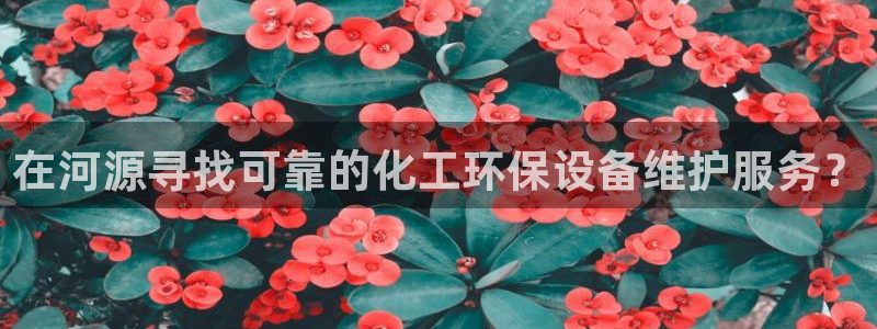 亿万先生官方客服电话：在河源寻找可靠的化工环保设备维护服务？