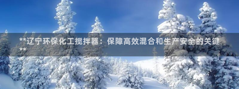 亿万手游平台官网入口：**辽宁环保化工搅拌器：保障高效混合和生产安全的关键
**
