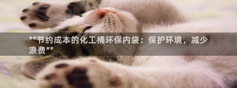亿万先生换网址了吗知乎：**节约成本的化工桶环保内袋：保护环境，减少
浪费**