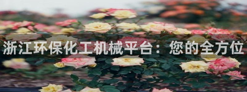 亿万 下载：浙江环保化工机械平台：您的全方位