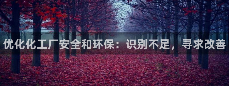 亿万 在线：优化化工厂安全和环保：识别不足，寻求改善