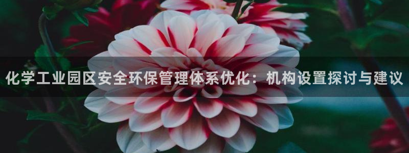 亿万先生 菲律宾：化学工业园区安全环保管理体系优化：机构设置探讨与建议