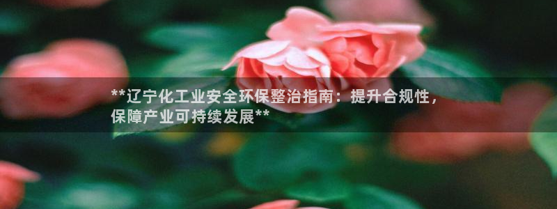 亿万先生换网址了吗：**辽宁化工业安全环保整治指南：提升合规性，
保障产业可持续发展**