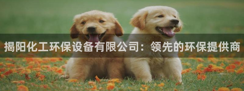 亿万首富手游兑换码：揭阳化工环保设备有限公司：领先的环保提供商