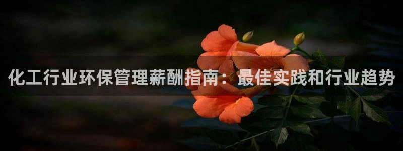 亿万先生官方网站首页：化工行业环保管理薪酬指南：最佳实践和行业趋势