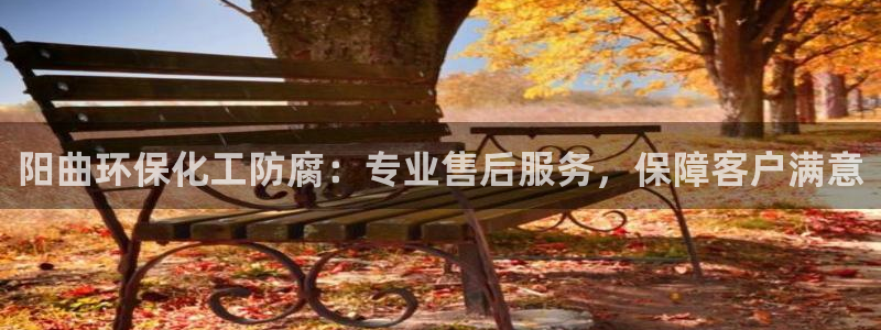 亿万先生 菲律宾：阳曲环保化工防腐：专业售后服务，保障客户满意