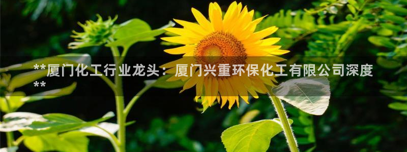 亿万先生007网页登录：**厦门化工行业龙头：厦门兴重环保化工有限公司深度
**