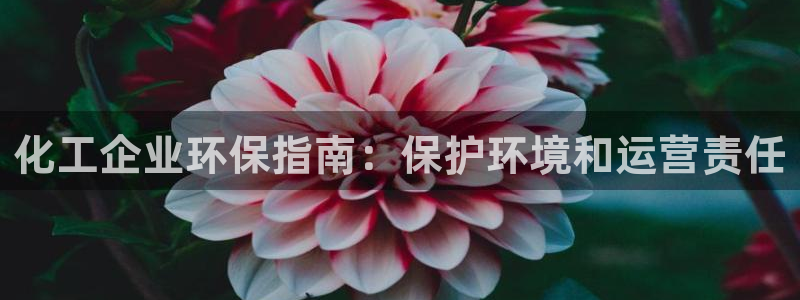 mr8001亿万先生：化工企业环保指南：保护环境和运营责任