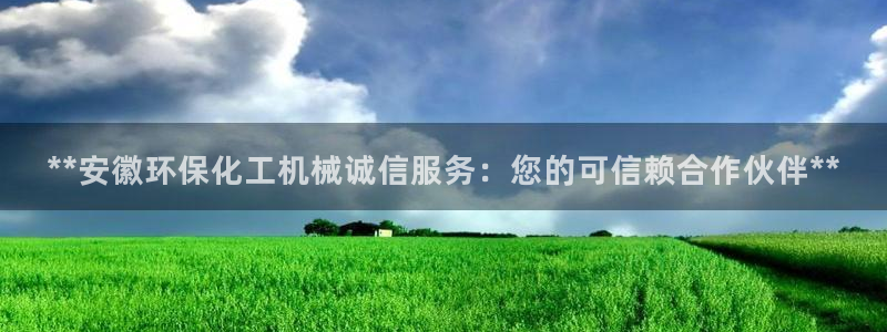亿万网络科技有限公司ceo：**安徽环保化工机械诚信服务：您的可信赖合作伙伴**