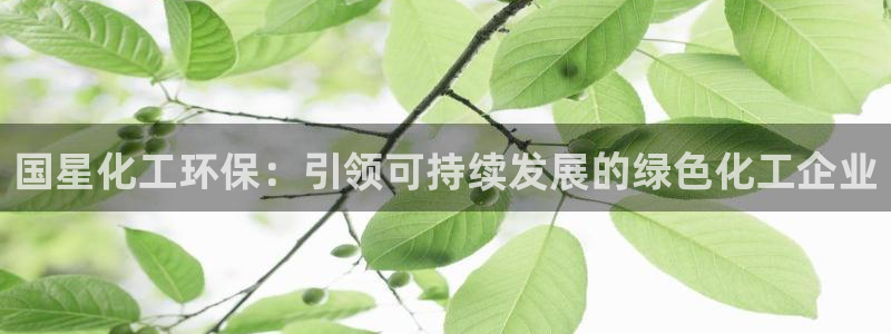 亿万网红：国星化工环保：引领可持续发展的绿色化工企业