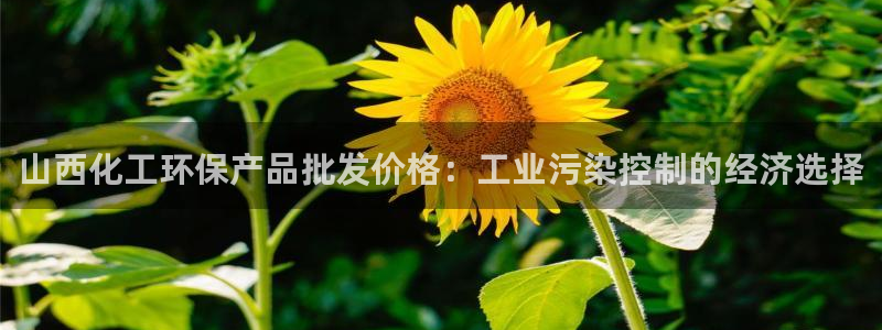 亿万手游官网：山西化工环保产品批发价格：工业污染控制的经济选择