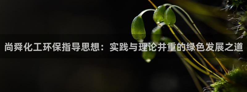 亿万第一集：尚舜化工环保指导思想：实践与理论并重的绿色发展之道