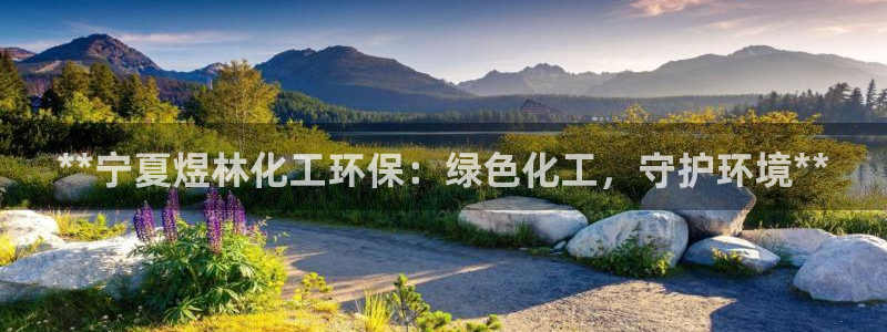 mr8001亿万先生在线存款：**宁夏煜林化工环保：绿色化工，守护环境**