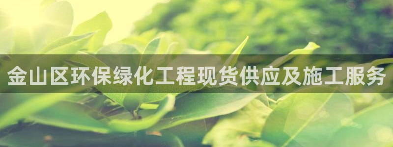 电视剧亿万：金山区环保绿化工程现货供应及施工服务