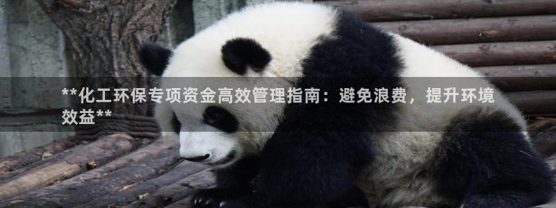 mr07亿万先生：**化工环保专项资金高效管理指南：避免浪费，提升环境
效益**