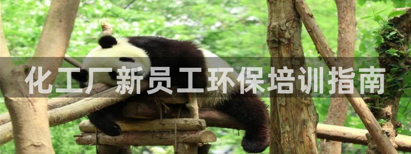 亿万首富手游：化工厂新员工环保培训指南