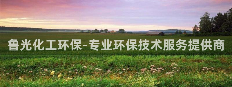 亿万先生mr07官网：鲁光化工环保-专业环保技术服务提供商