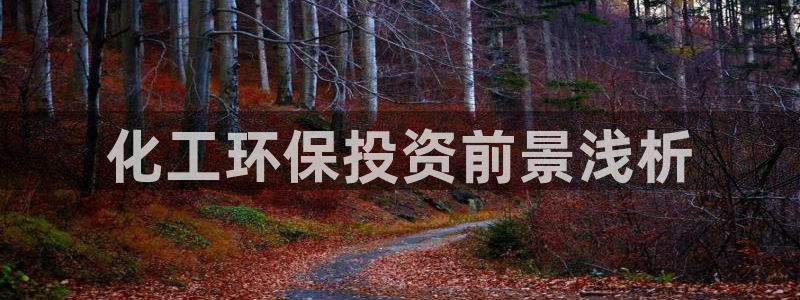 亿万先生MR - 亿万先生mr008cc：化工环保投资前景浅析