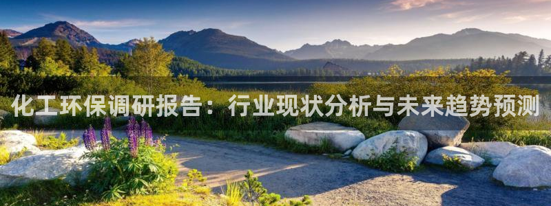亿万国际游戏官网：化工环保调研报告：行业现状分析与未来趋势预测