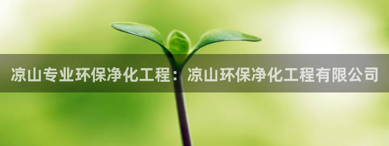 亿万先生手机网：凉山专业环保净化工程：凉山环保净化工程有限公司