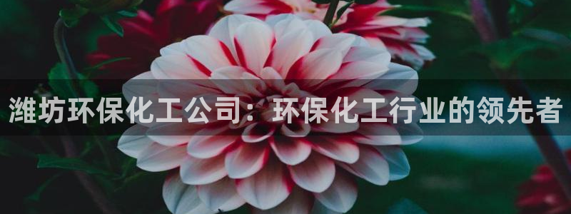 亿万网友在线实时为您解答问题：潍坊环保化工公司：环保化工行业的领先者