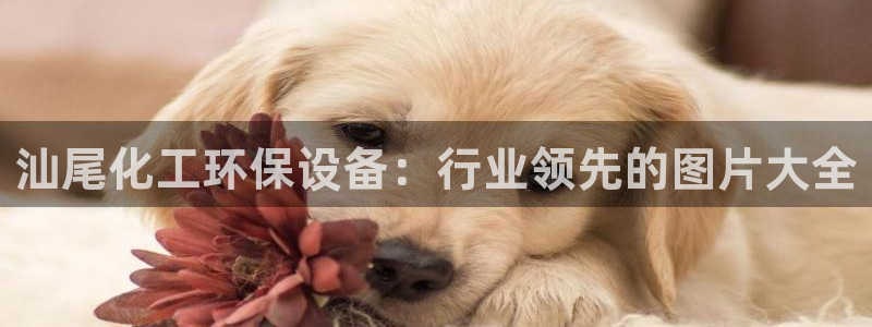 亿万下载徐家汇朋友圈说说：汕尾化工环保设备：行业领先的图片大全