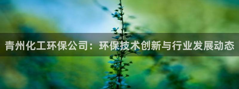 亿万先生网址生：青州化工环保公司：环保技术创新与行业发展动态