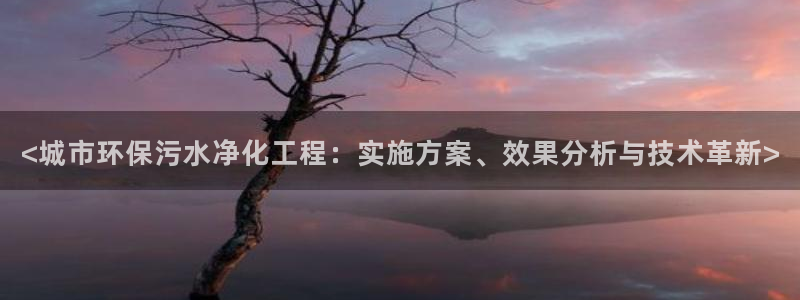亿万先生客户端官网登录不上：<城市环保污水净化工程：实施方案、效果分析与技术革新>