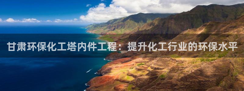 亿万先生网红：甘肃环保化工塔内件工程：提升化工行业的环保水平