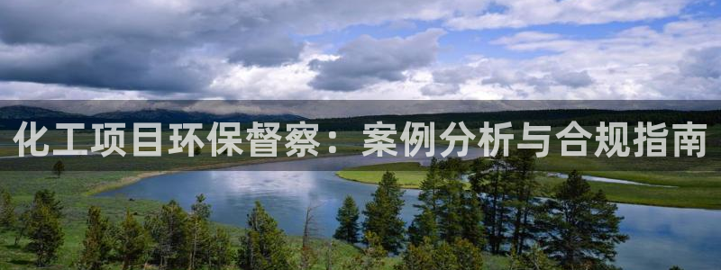 亿万剧情详解：化工项目环保督察：案例分析与合规指南