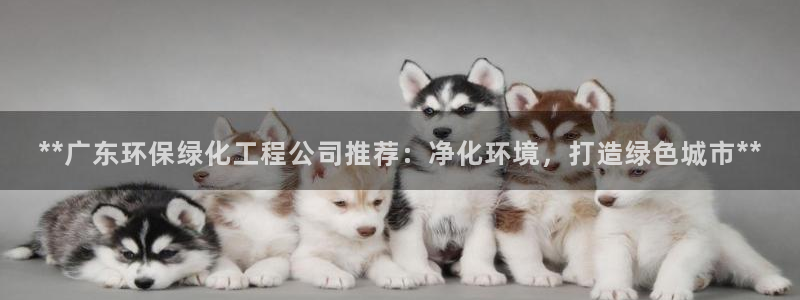亿万先生mr008：**广东环保绿化工程公司推荐：净化环境，打造绿色城市**
