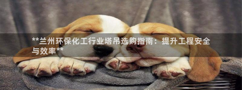 亿万网友在线实时为您解答：**兰州环保化工行业塔吊选购指南：提升工程安全
与效率**