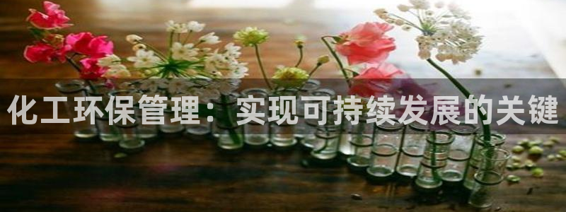 亿万先生客服联系方式：化工环保管理：实现可持续发展的关键