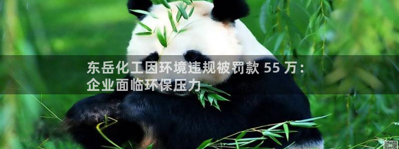 mr003亿万先生：东岳化工因环境违规被罚款 55 万：
企业面临环保压力