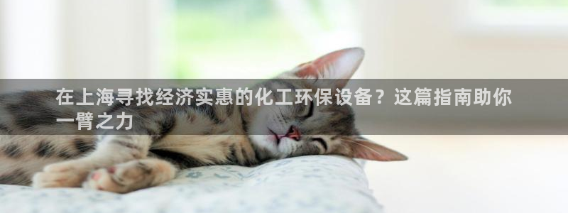 亿万先生：在上海寻找经济实惠的化工环保设备？这篇指南助你
一臂之力