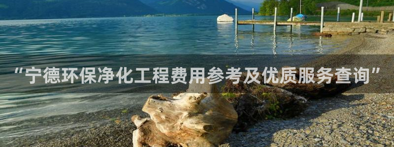 亿万视频：“宁德环保净化工程费用参考及优质服务查询”
