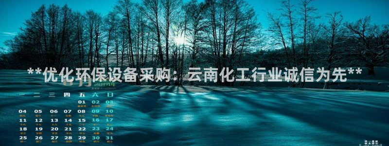 mr亿万先生：**优化环保设备采购：云南化工行业诚信为先**