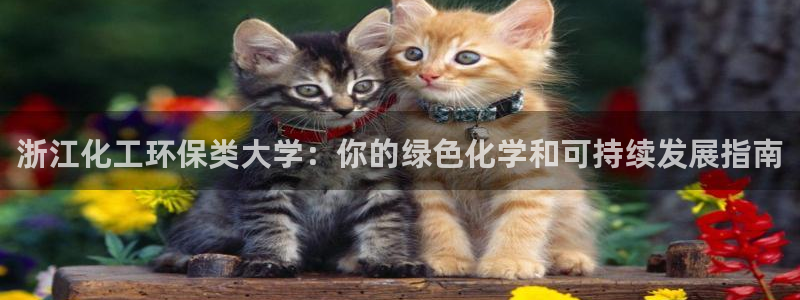 亿万先生mr014：浙江化工环保类大学：你的绿色化学和可持续发展指南