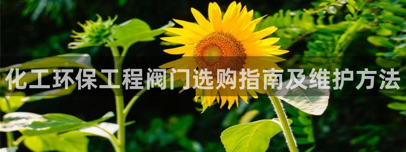 亿万先生手机客户端：化工环保工程阀门选购指南及维护方法