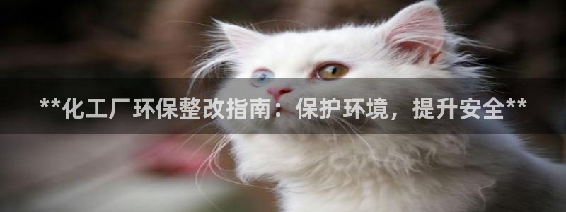 亿万同人字幕分享jogoduplo：**化工厂环保整改指南：保护环境，提升安全**